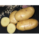 Продам ранний картофель урожая 2011 г.