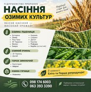 Продаж насіння озимих: пшениця,  ячмінь,  горох,  гірчиця